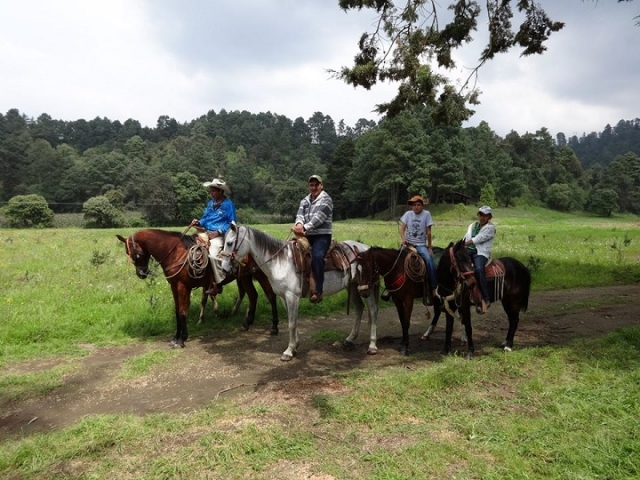 rutas a caballo en familia